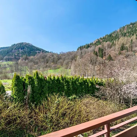 Appartement Wildbad Kurparkwohnen *
