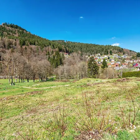 Wildbad Kurparkwohnen Appartement